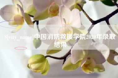 安宁中国消防救援学院2020年录取结果