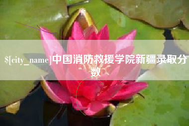 安宁中国消防救援学院新疆录取分数