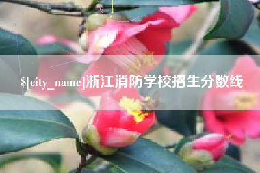 安宁浙江消防学校招生分数线