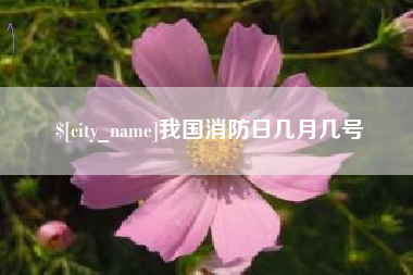 安宁我国消防日几月几号