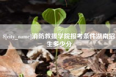 安宁消防救援学院报考条件湖南招生多少分