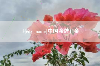 安宁中国金牌18金