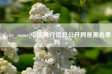 安宁中国执行信息公开网是黑名单吗