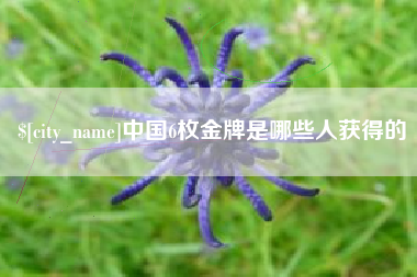 安宁中国6枚金牌是哪些人获得的