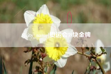 安宁奥运会39块金牌