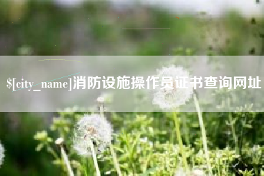 安宁消防设施操作员证书查询网址