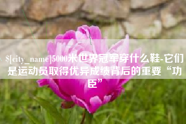 安宁5000米世界冠军穿什么鞋-它们是运动员取得优异成绩背后的重要“功臣”