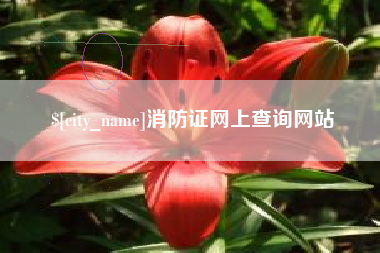 安宁消防证网上查询网站