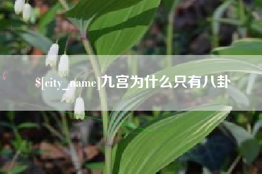 安宁九宫为什么只有八卦