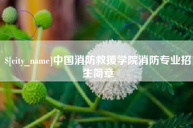 安宁中国消防救援学院消防专业招生简章