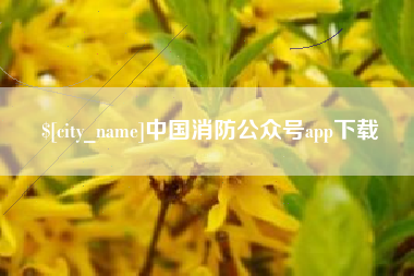 安宁中国消防公众号app下载