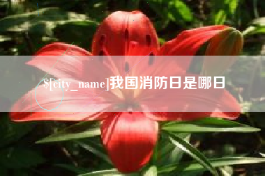 安宁我国消防日是哪日