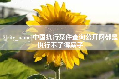 安宁中国执行案件查询公开网都是执行不了得案子