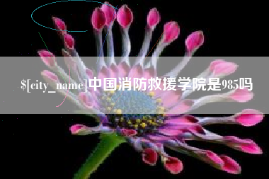 安宁中国消防救援学院是985吗