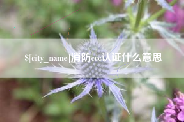 安宁消防ccc认证什么意思
