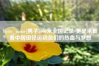 安宁男子5000米全国记录-更是承载着中国田径运动员们的热血与梦想