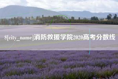 安宁消防救援学院2020高考分数线