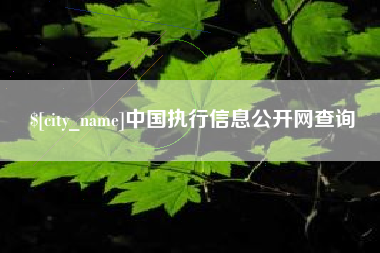 安宁中国执行信息公开网查询