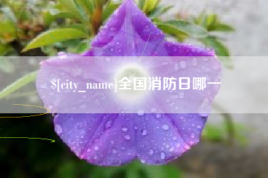 安宁全国消防日哪一