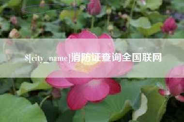 安宁消防证查询全国联网