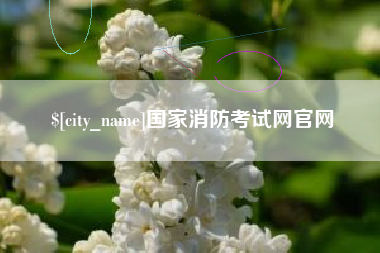 安宁国家消防考试网官网