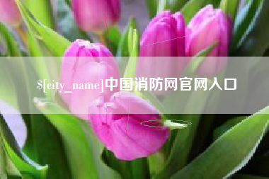 安宁中国消防网官网入口