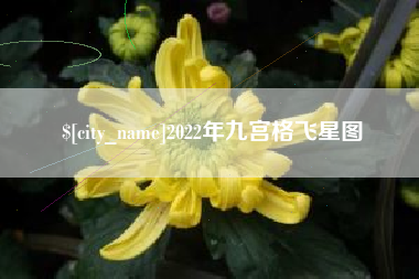 安宁2022年九宫格飞星图