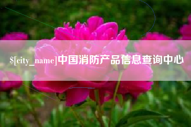 安宁中国消防产品信息查询中心