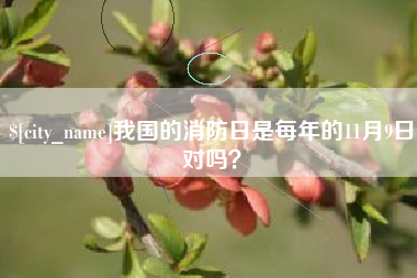 安宁我国的消防日是每年的11月9日对吗？
