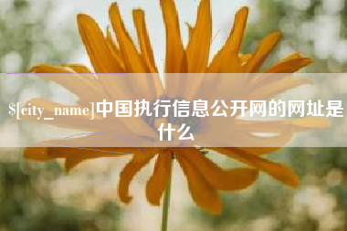 安宁中国执行信息公开网的网址是什么