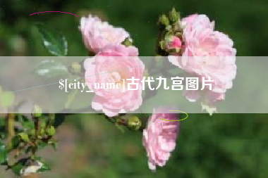 安宁古代九宫图片