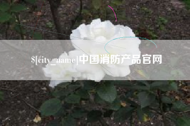 安宁中国消防产品官网