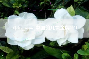 安宁中国的几块金牌2021