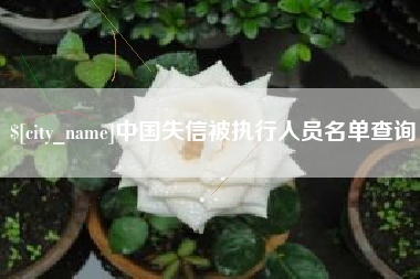 安宁中国失信被执行人员名单查询