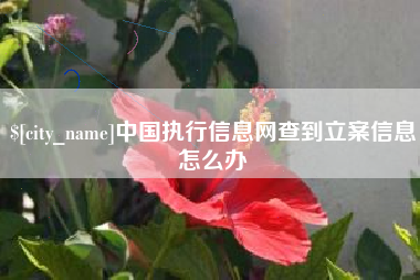 安宁中国执行信息网查到立案信息怎么办