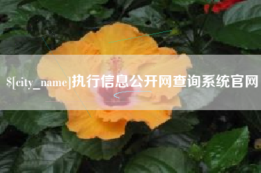 安宁执行信息公开网查询系统官网