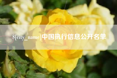 安宁中国执行信息公开名单