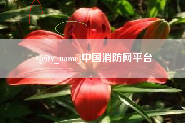 安宁中国消防网平台