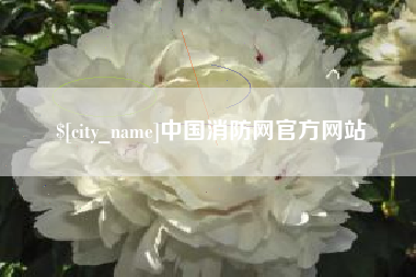 安宁中国消防网官方网站