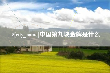 安宁中国第九块金牌是什么