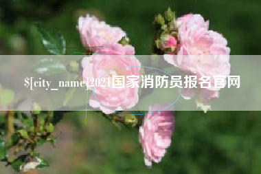 安宁2021国家消防员报名官网