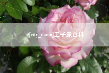 安宁王子豪百科