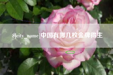 安宁中国有哪几枚金牌得主