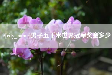 安宁男子五千米世界冠军奖金多少
