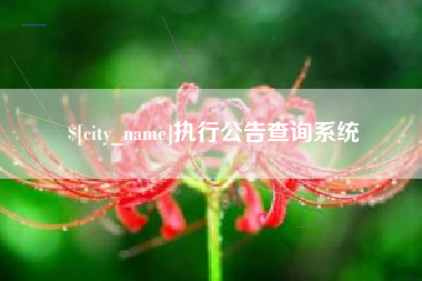安宁执行公告查询系统