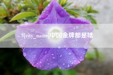 安宁中国金牌都是啥