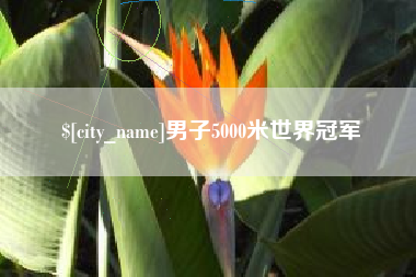 安宁男子5000米世界冠军