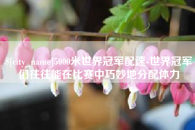 安宁5000米世界冠军配速-世界冠军们往往能在比赛中巧妙地分配体力