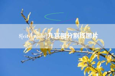 安宁九宫图分割线图片