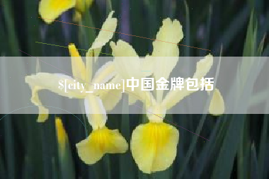 安宁中国金牌包括